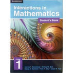 Interactions in mathematics